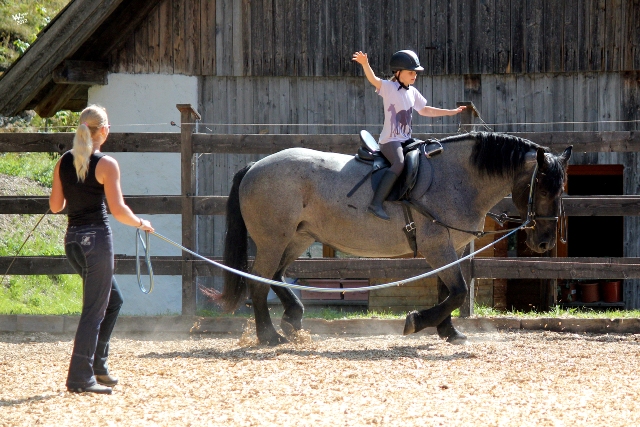 Reitmöglichkeit in Tweng im Lungau in der Urlaubsregion nahe Obertauern