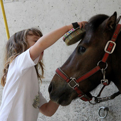 Pony – Spaß und Spiel - Landhotel Postgut Norikerzucht Reiten für Kinder